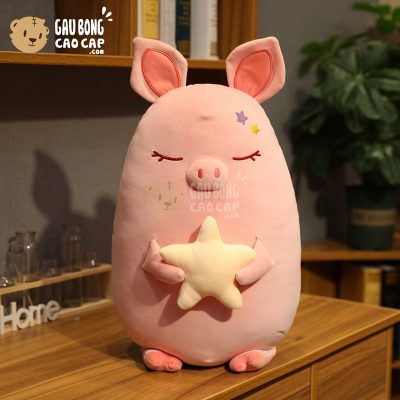 Heo Bông lông mịn đứng ôm Sao