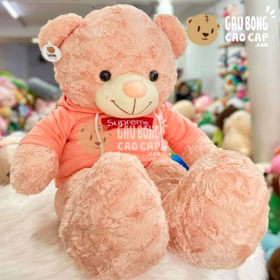 Gấu Teddy mặc áo Hoodie màu Hồng