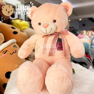 Gấu Teddy Smooth Take me away