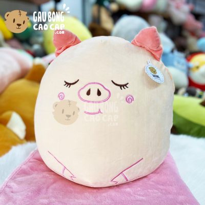Gối mền Heo Bông hồng mặt tròn