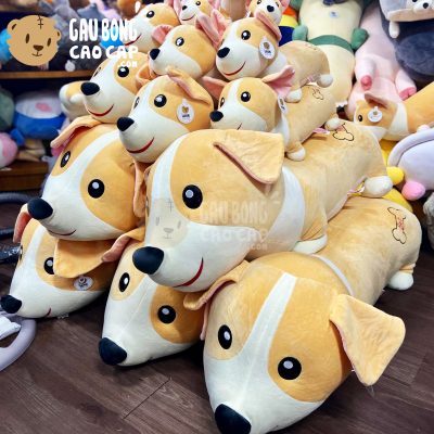 Chó Bông vàng nằm mông xương