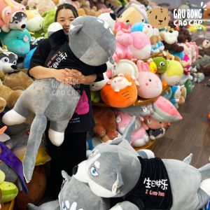 Chó Bông Husky lông mịn nằm mặt Ngáo