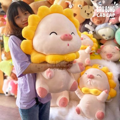 Heo Bông ngồi cosplay Hoa Hướng Dương