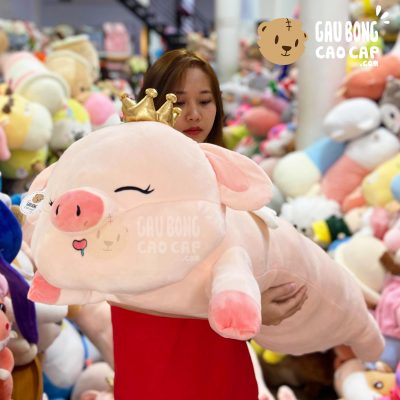 Heo Bông nằm lông mịn đội vương miệng