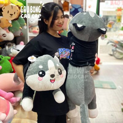 Chó Bông Husky baby lông mịn nằm mặt biểu cảm