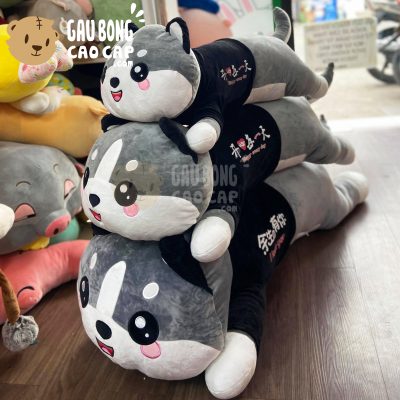 Chó Bông Husky baby lông mịn nằm mặt biểu cảm