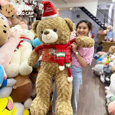 Gấu Teddy Noel lông xoắn Happiness