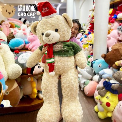 Gấu Teddy Noel lông xoắn Happiness