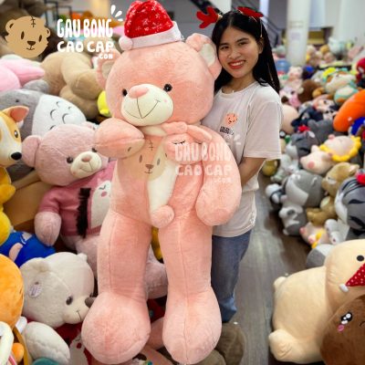 Gấu Teddy Noel lông Smooth choàng khăn len mặt Thỏ