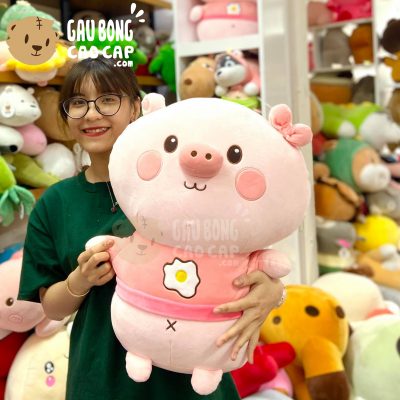 Heo Bông lông mịn mặc áo thun thêu trứng ốp la