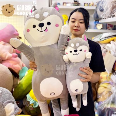 Chó Bông Husky lông mịn lộ rốn đứng giơ tay