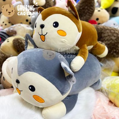 Chó Bông lông mịn má cam Lovely Dog