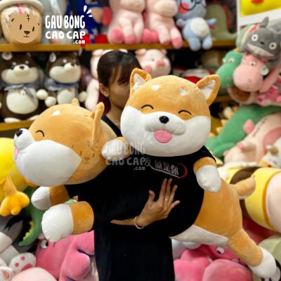 Chó Bông Shiba nằm Lè Lưỡi mặc Áo Thun Đen