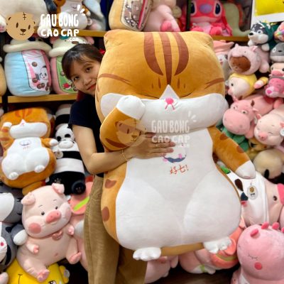 Mèo Bông Kute lông mịn đứng duị mắt