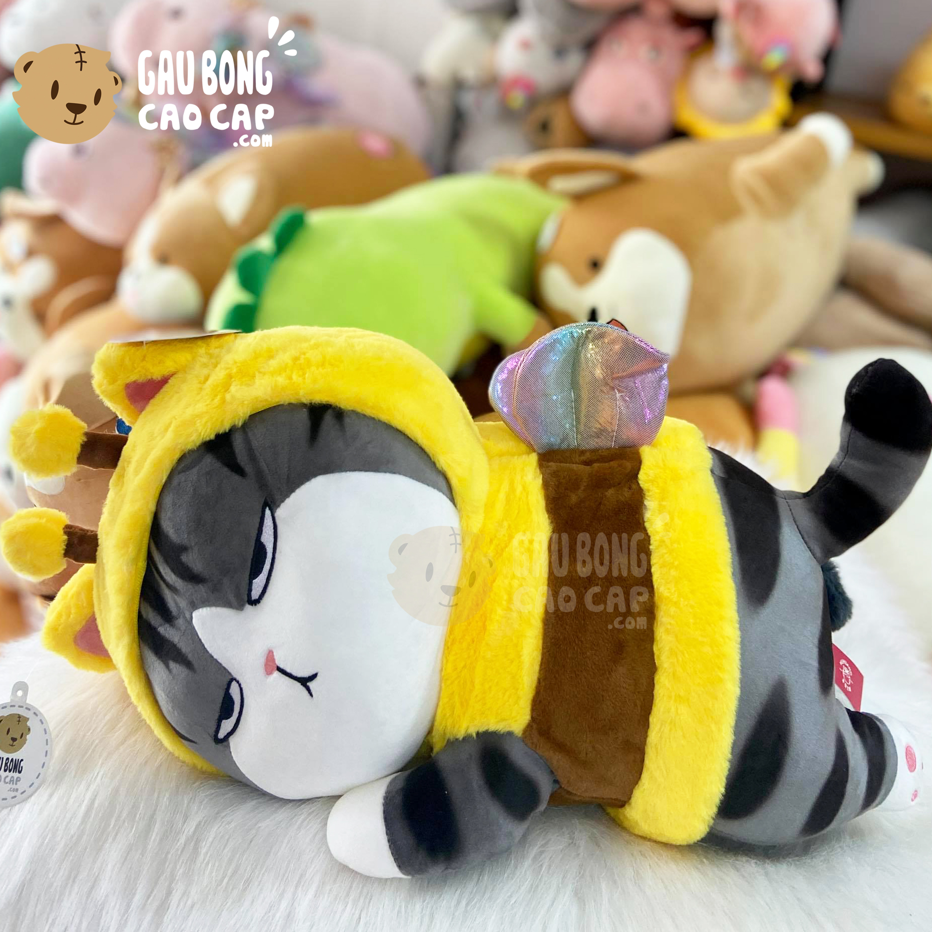 Mèo Bông Hoàng Thượng nằm cosplay Ong Vàng