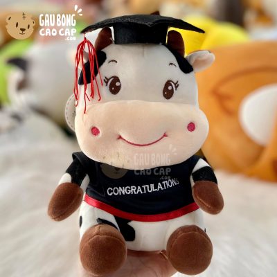 Bò Sữa Bông mặc áo Tốt Nghiệp