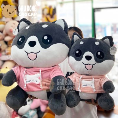 Chó Bông Husky Baby lông mịn ngồi mặc áo Hoodie