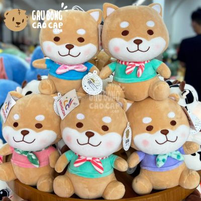 Chó Shiba Baby mặc áo thun ngồi đeo Nơ