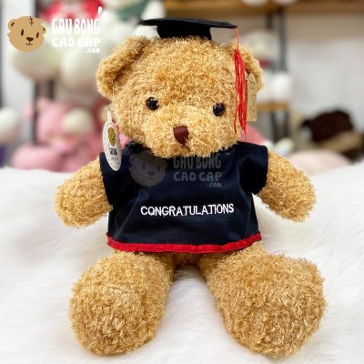 Gấu Teddy tốt nghiệp lông xù 40cm