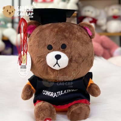 Gấu Brown Tốt Nghiệp nhí