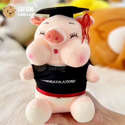 Heo Bông nhỏ dãi Tốt Nghiệp