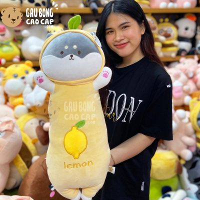 Chó Bông Husky cosplay quả Chanh Lemon