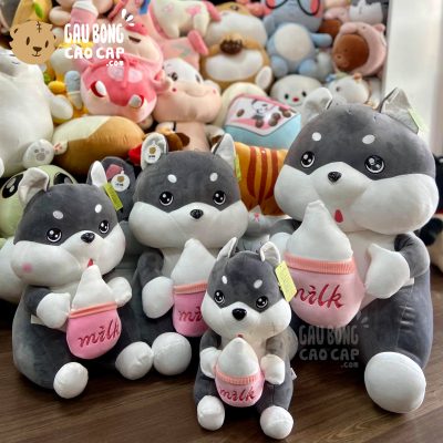 Chó Bông Husky ôm Bình Sữa