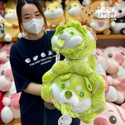Chó Bông Shiba Cosplay bắp cải xanh