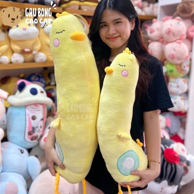 Gà Bông vàng gối ôm dài