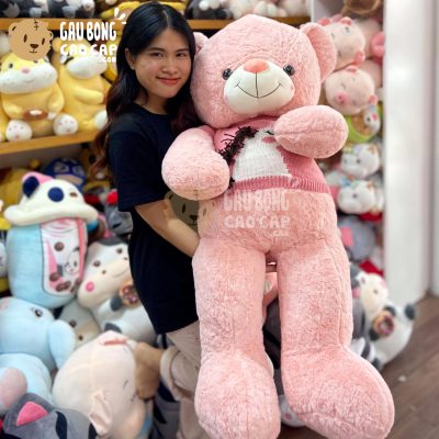 Gấu Teddy Smooth mặc áo len Thêu Unicorn