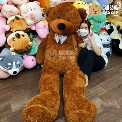 Gấu Teddy BOYDZ Nơ Caro