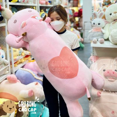 Bò Bông lông mịn nằm mắt To