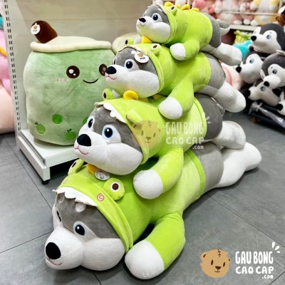 Chó Bông Husky cosplay lông mịn