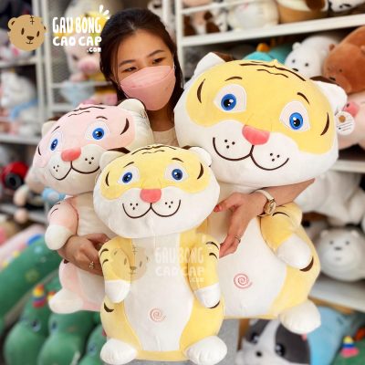 Hổ Bông lông mịn ngồi rốn xoắn ốc mắt xanh long lanh