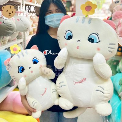 Mèo Bông Trắng Mắt Xanh Ngồi Đội Hoa