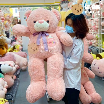 Gấu Teddy lông Smooth ngực thêu Bình Sữa