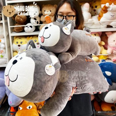 Chó Bông Husky Cool nằm lè lưỡi cười