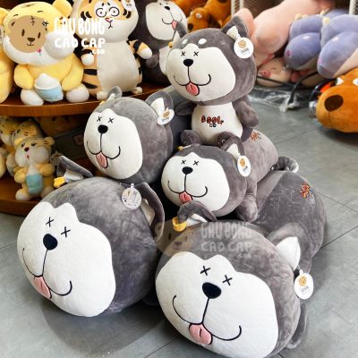 Chó Bông Husky Cool nằm lè lưỡi cười