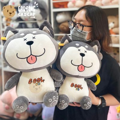 Chó Bông Husky Cool ngồi lè lưỡi cười