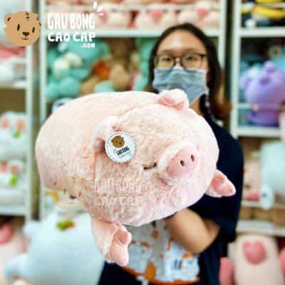 Heo Bông Hồng nằm lông Smooth