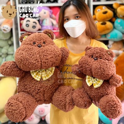 Gấu Bear Nâu Lông Cừu