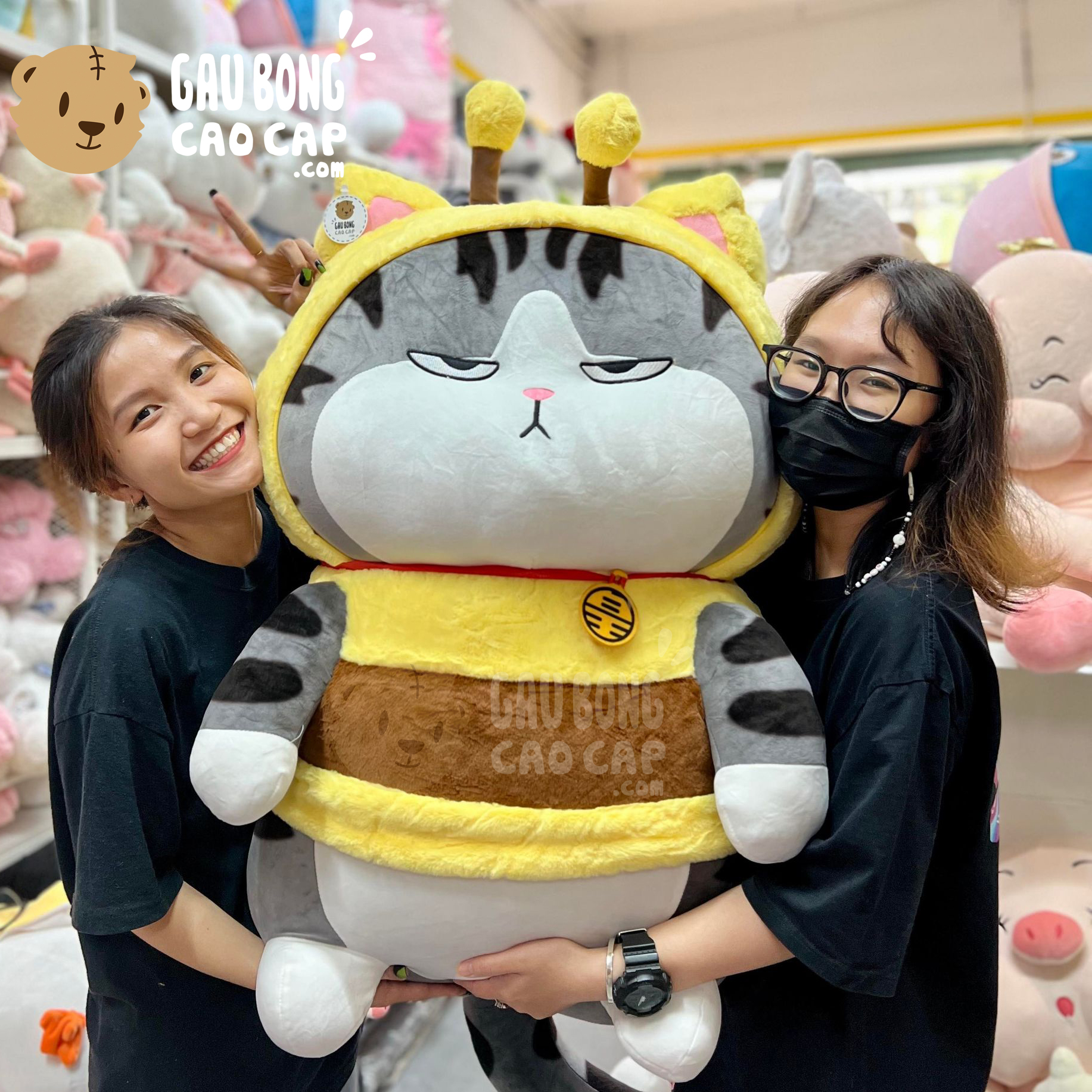 Mèo Bông Hoàng Thượng cosplay Ong Vàng
