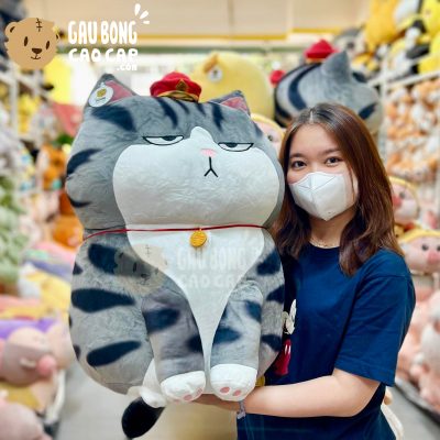 Mèo Bông Hoàng Thượng ngồi chụm chân