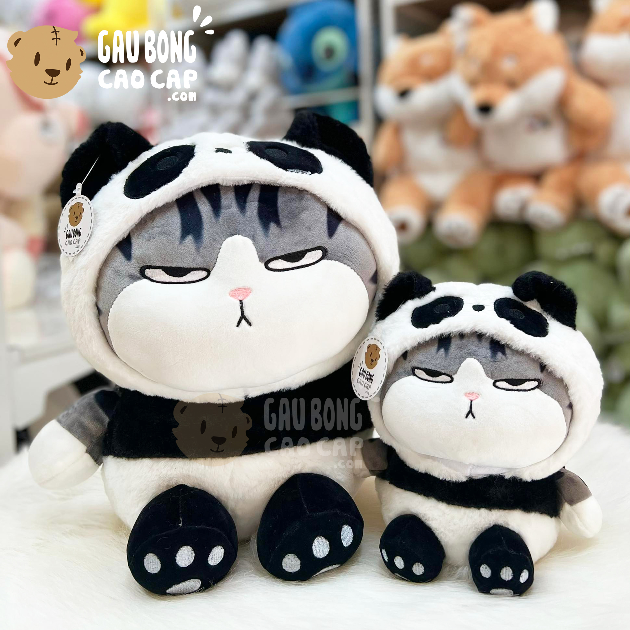 Mèo Bông Hoàng Thượng Cosplay Panda