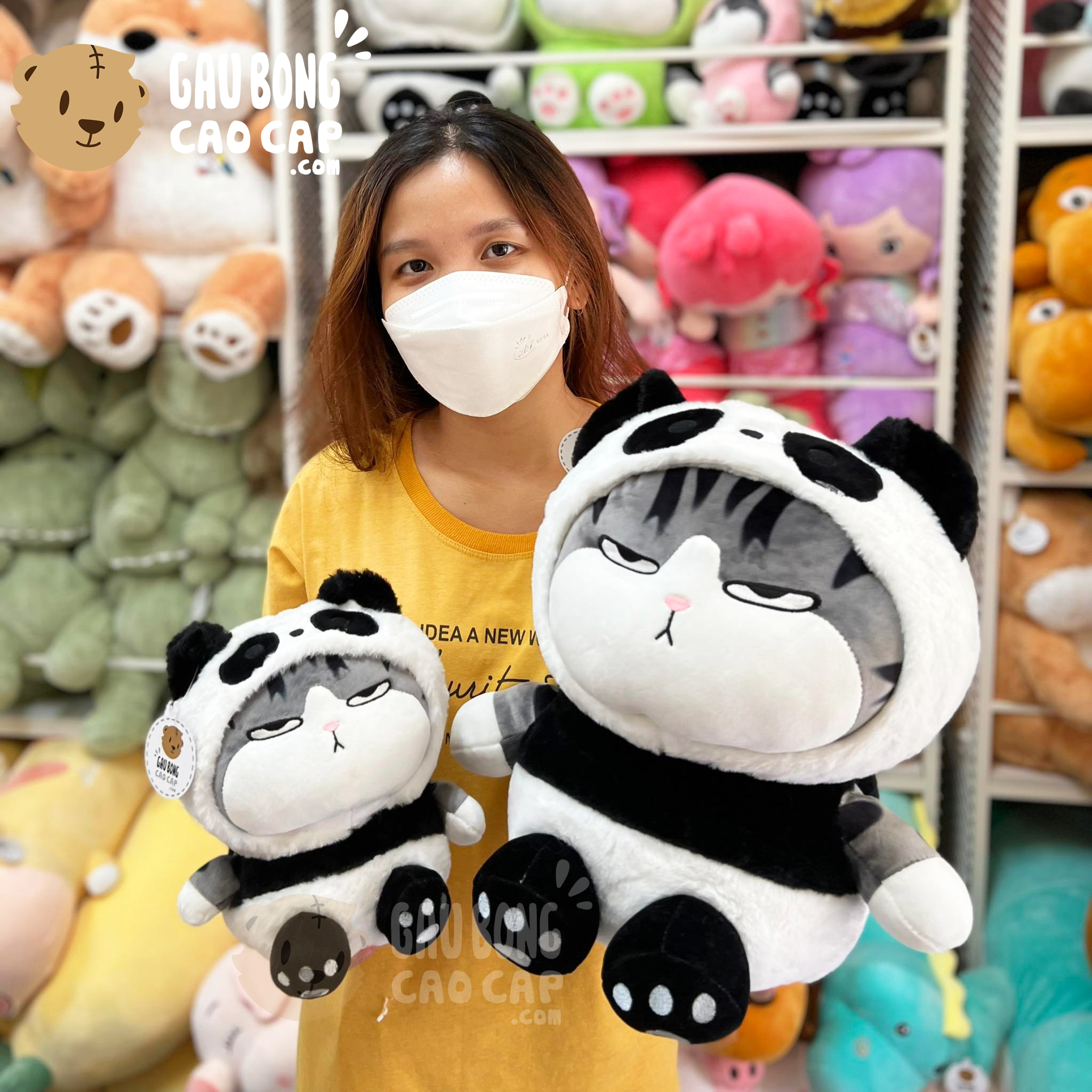 Mèo Bông Hoàng Thượng Cosplay Panda