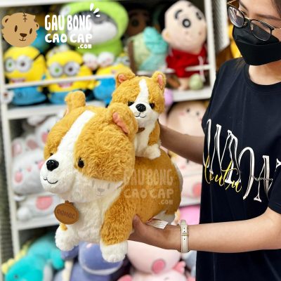 Chó Bông Corgi Đứng 4 Chân