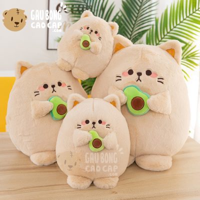 Mèo Bông lông Smooth cầm trái Bơ