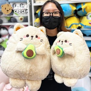 Mèo Bông lông Smooth cầm trái Bơ