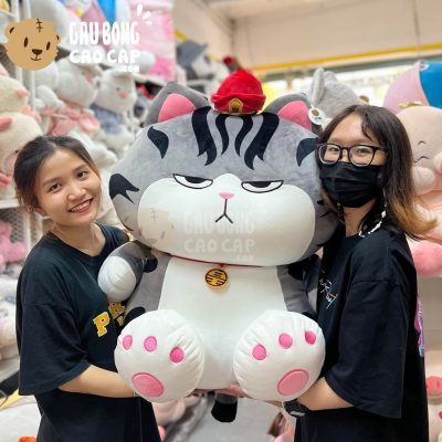 Mèo Bông Hoàng Thượng