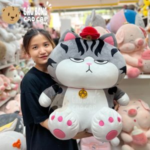 Mèo Bông Hoàng Thượng